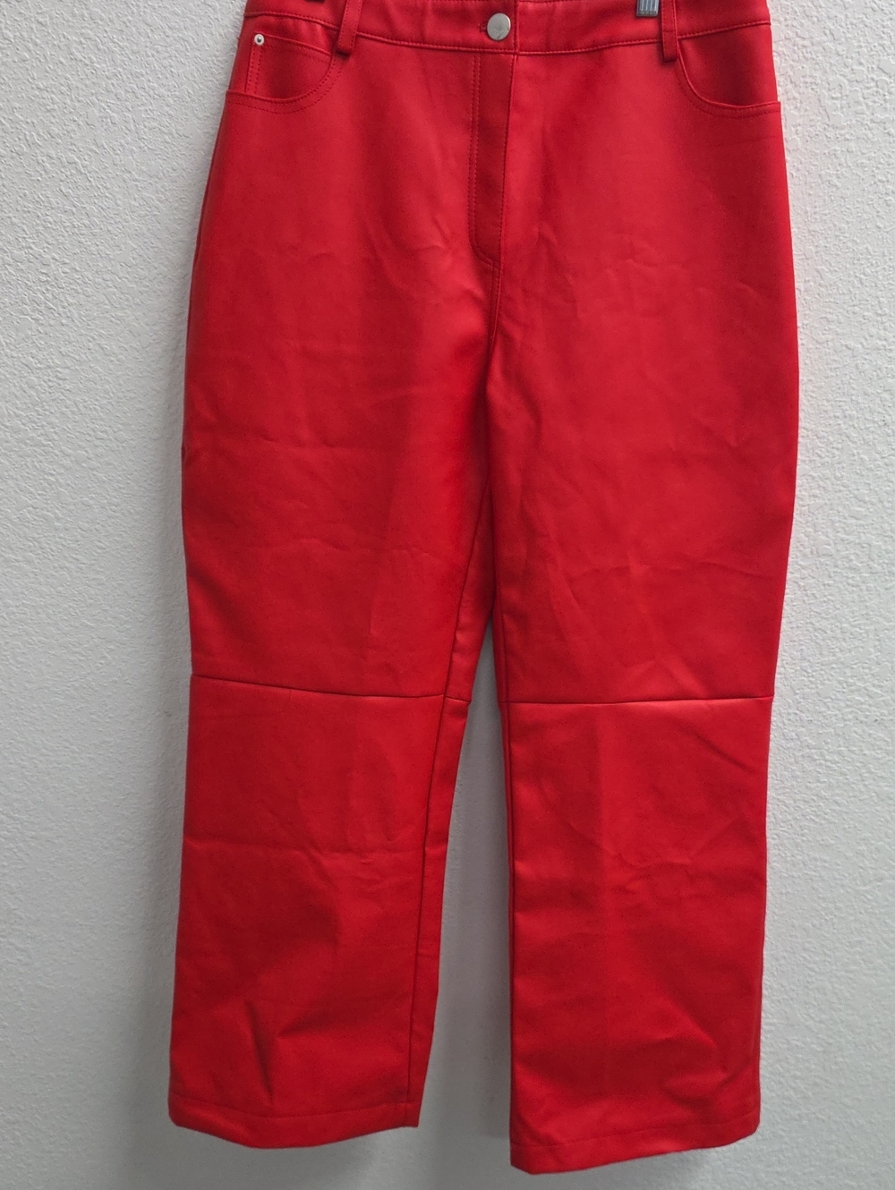 Nasty Gal Red Faux Leather Pants Size 12 NWT